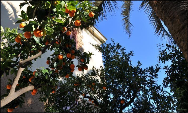 Hotel Lodi Rome Bilik gambar